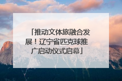 推动文体旅融合发展！辽宁省匹克球推广启动仪式启幕