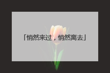 悄然来过，悄然离去
