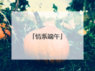 情系端午