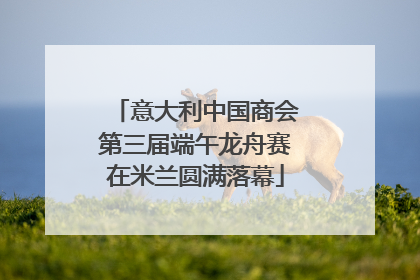 意大利中国商会第三届端午龙舟赛在米兰圆满落幕