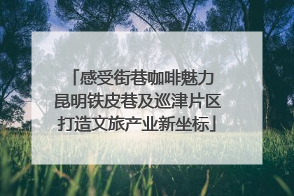 感受街巷咖啡魅力 昆明铁皮巷及巡津片区打造文旅产业新坐标