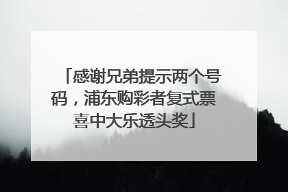 感谢兄弟提示两个号码，浦东购彩者复式票喜中大乐透头奖
