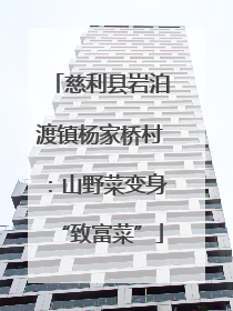 慈利县岩泊渡镇杨家桥村：山野菜变身“致富菜”