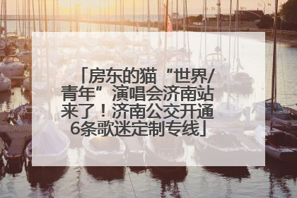 房东的猫“世界/青年”演唱会济南站来了！济南公交开通6条歌迷定制专线