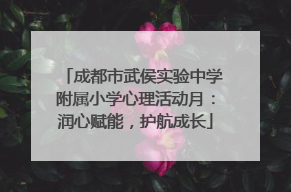 成都市武侯实验中学附属小学心理活动月：润心赋能，护航成长