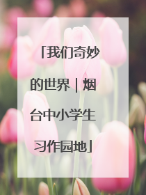 我们奇妙的世界｜烟台中小学生习作园地