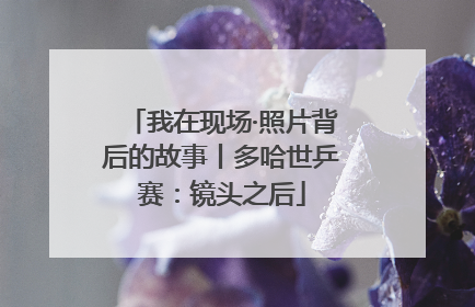 我在现场·照片背后的故事丨多哈世乒赛：镜头之后