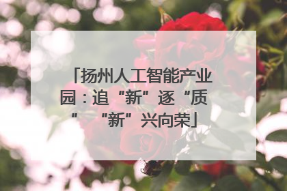 扬州人工智能产业园：追“新”逐“质” “新”兴向荣