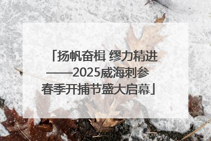 扬帆奋楫 缪力精进——2025威海刺参春季开捕节盛大启幕