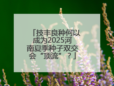 技丰良种何以成为2025河南夏季种子双交会“顶流”？