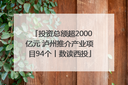 投资总额超2000亿元 泸州推介产业项目94个丨数读西投