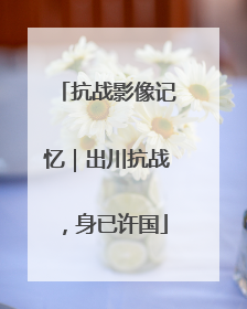 抗战影像记忆｜出川抗战，身已许国