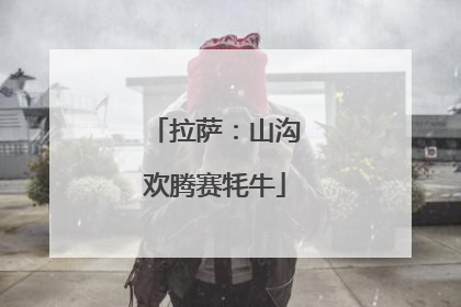 拉萨：山沟欢腾赛牦牛