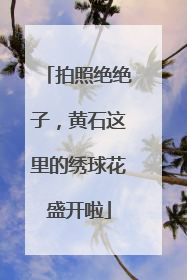 拍照绝绝子，黄石这里的绣球花盛开啦