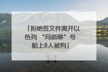 拒绝签文件离开以色列 “玛德琳”号船上8人被拘