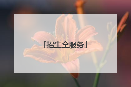 招生全服务