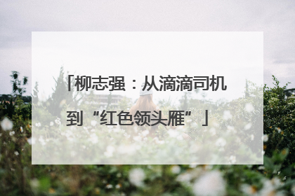柳志强：从滴滴司机到“红色领头雁”