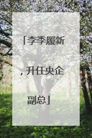 李季履新，升任央企副总