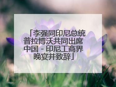 李强同印尼总统普拉博沃共同出席中国－印尼工商界晚宴并致辞