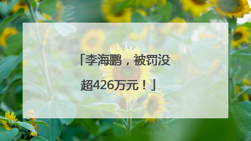 李海鹏，被罚没超426万元！
