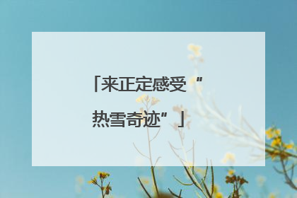 来正定感受“热雪奇迹”