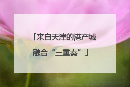 来自天津的港产城融合“三重奏”