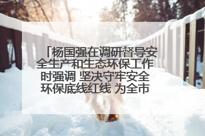 杨国强在调研督导安全生产和生态环保工作时强调 坚决守牢安全环保底线红线 为全市经济社会高质量发展提供坚强保障