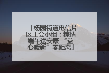 杨园街道电信片区工会小组：粽情端午送安康 “益心暖新”零距离