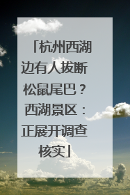 杭州西湖边有人拔断松鼠尾巴？西湖景区：正展开调查核实