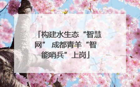 构建水生态“智慧网” 成都青羊“智能哨兵”上岗