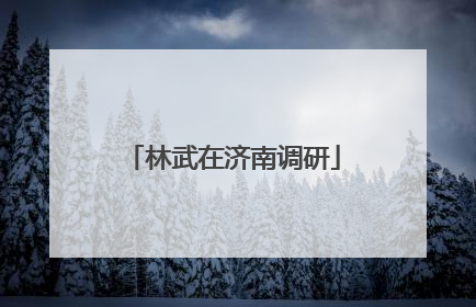 林武在济南调研