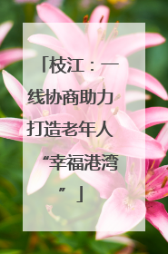 枝江：一线协商助力打造老年人“幸福港湾”