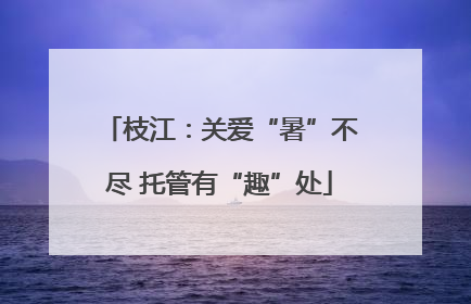 枝江：关爱“暑”不尽 托管有“趣”处