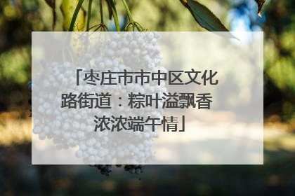 枣庄市市中区文化路街道：粽叶溢飘香 浓浓端午情