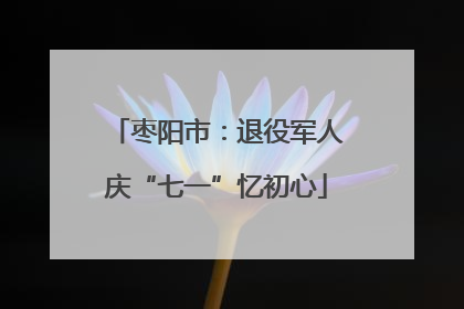 枣阳市：退役军人庆“七一”忆初心