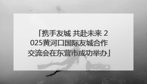 携手友城 共赴未来 2025黄河口国际友城合作交流会在东营市成功举办