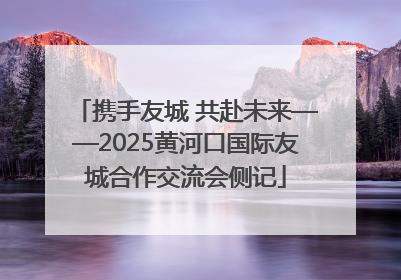 携手友城 共赴未来——2025黄河口国际友城合作交流会侧记