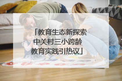 教育生态新探索 中关村三小跨龄教育实践引热议