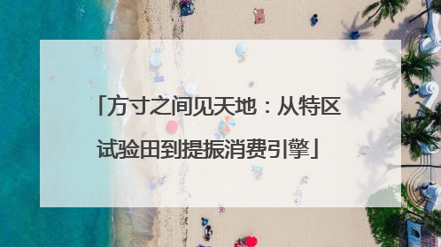 方寸之间见天地：从特区试验田到提振消费引擎
