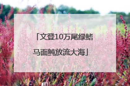 文登10万尾绿鳍马面鲀放流大海