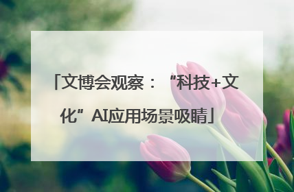 文博会观察：“科技+文化”AI应用场景吸睛