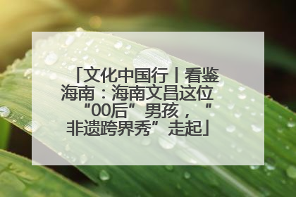 文化中国行丨看鉴海南：海南文昌这位“00后”男孩，“非遗跨界秀”走起