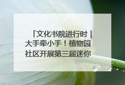 文化书院进行时｜大手牵小手！植物园社区开展第三届迷你马拉松活动