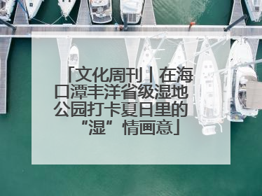 文化周刊丨在海口潭丰洋省级湿地公园打卡夏日里的“湿”情画意