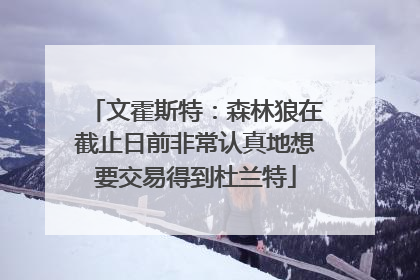 文霍斯特：森林狼在截止日前非常认真地想要交易得到杜兰特
