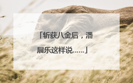 斩获八金后，潘展乐这样说……