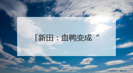 新田：血鸭变成“致富鸭” 预制菜撬动“舌尖经济”