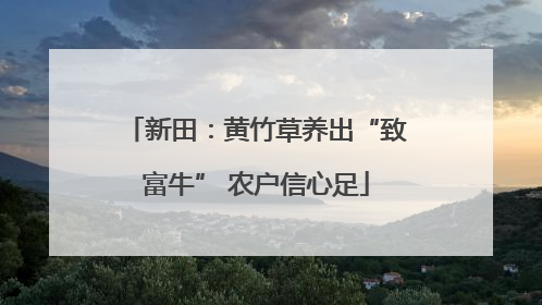 新田：黄竹草养出“致富牛” 农户信心足