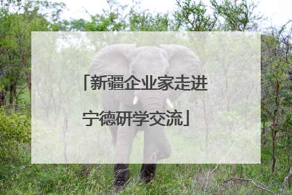 新疆企业家走进宁德研学交流