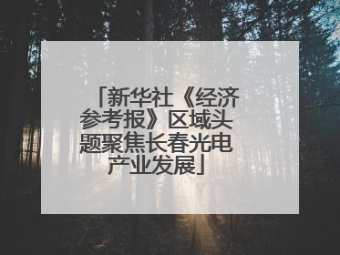 新华社《经济参考报》区域头题聚焦长春光电产业发展